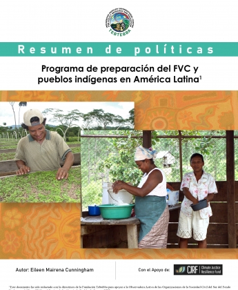 Resumen de políticas: Programa de preparación del FVC y pueblos indígenas en América Latina